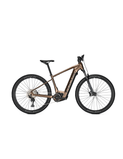 Focus Jarifa2 6.8 2023