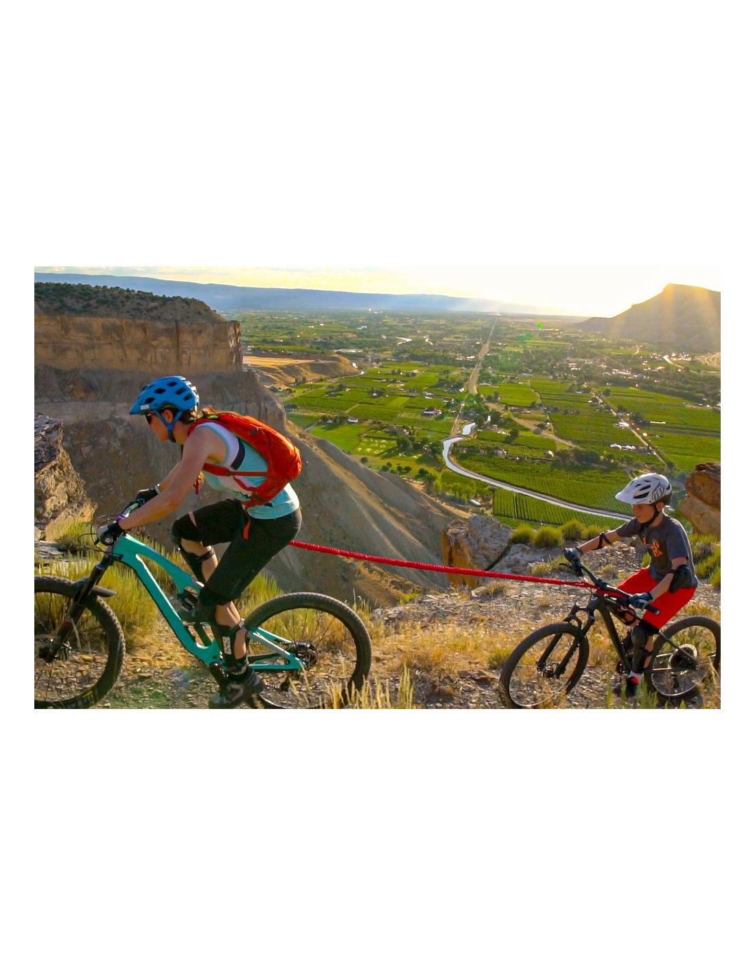 Remolcador Bici TowWhee 2 Remolcador Bici TowWhee - Imagen 2