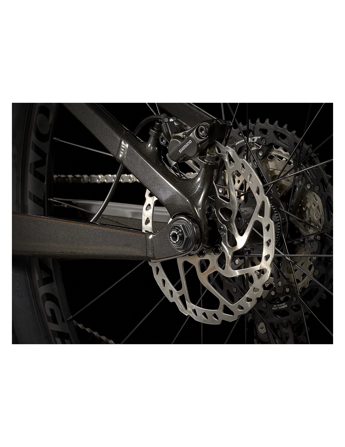 Trek Fuel EX 8 XT Gen 5 2023 3 Trek Fuel EX 8 XT Gen 5 2023 - Imagen 3